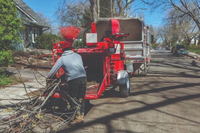 spring lawn care season