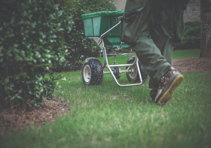 spring lawn care season