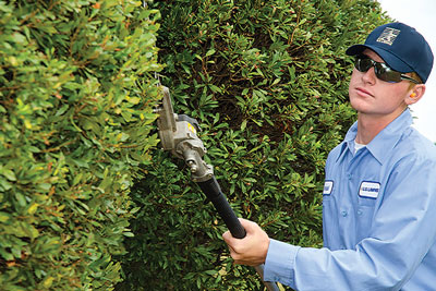 landscape franchise
