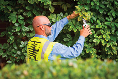 landscape franchise