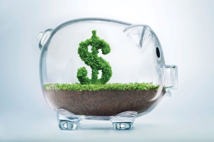 TruGreen philanthropy