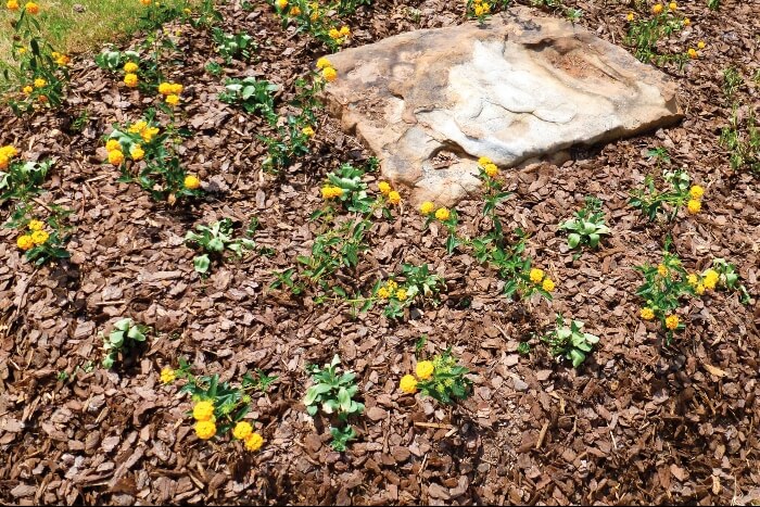 landscape mulch