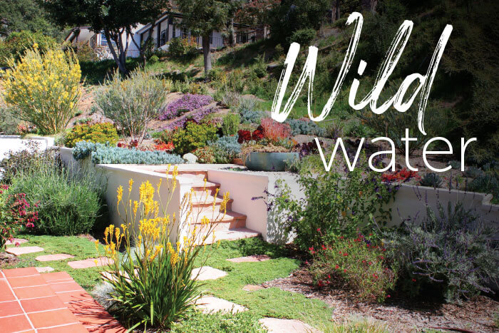 Hanna design; Kelley, plan, outdoor