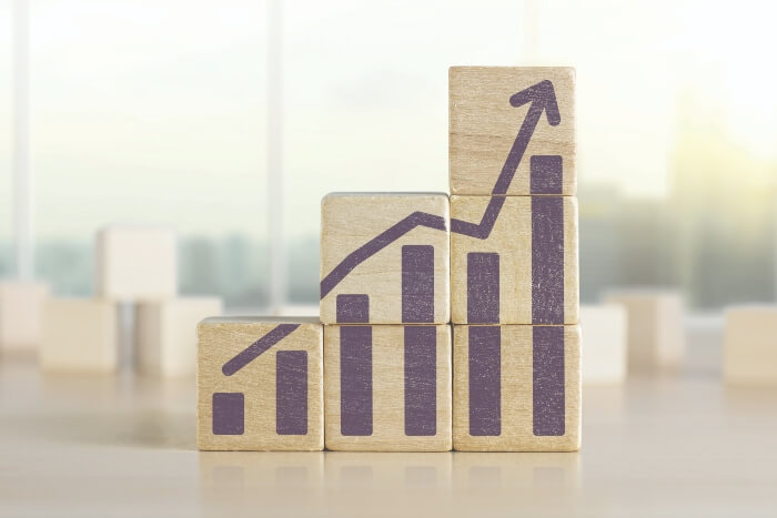 Briggs Stratton expansion