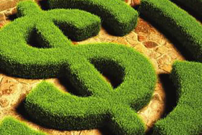 green industry brilliant basics