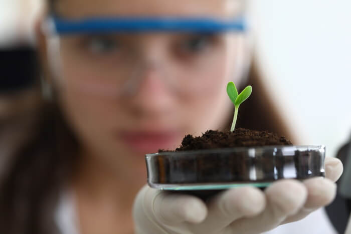 soil health scientists interns