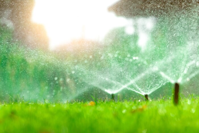 IA, IIC study sees optimistic future for landscape