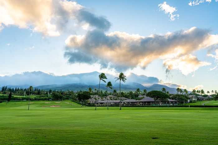 Maui-irrigation-ban