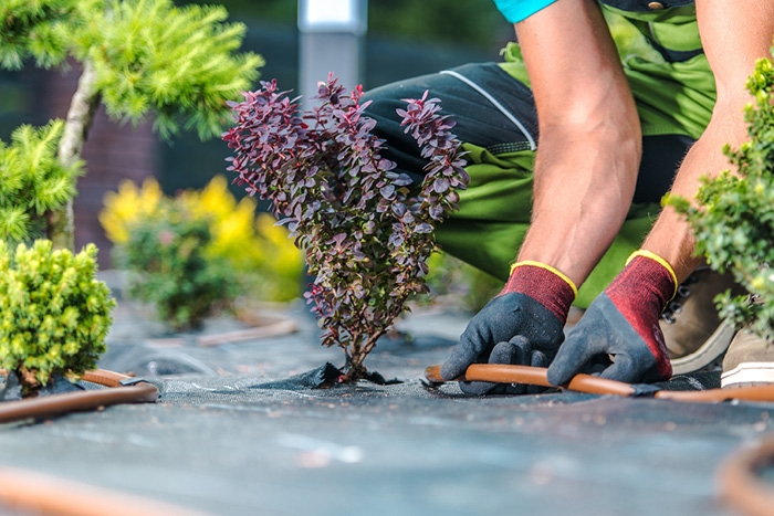 IrrigationPipeline_Iss1_26