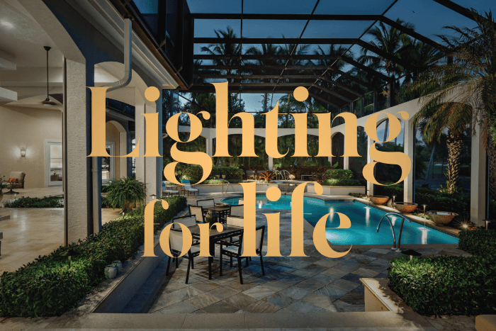 Lightingforlife_Iss2_26 – 1