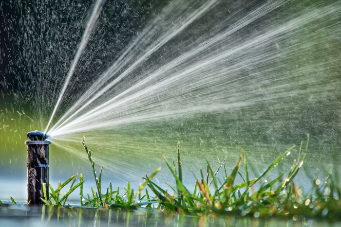 AdobeStock_460005474